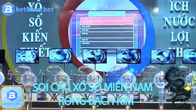 Thống kê rồng bạch kim